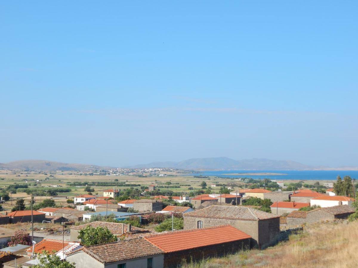 Romanon Andreas Studios מראה חיצוני תמונה